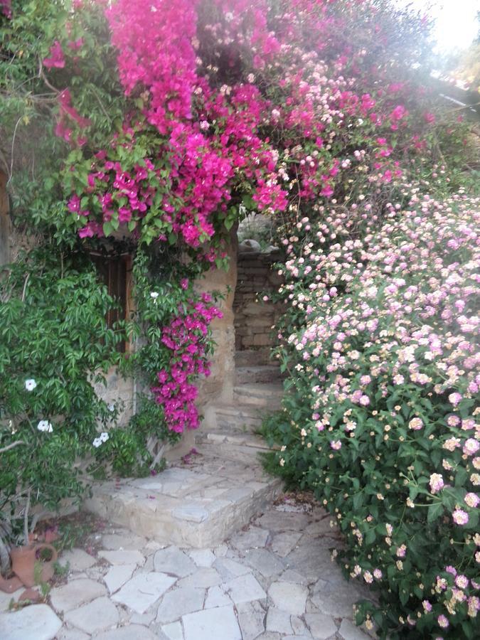 Vila Lantana Stone House Lemona Exteriér fotografie